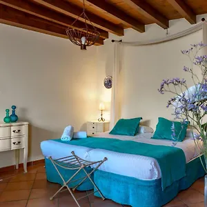 Charminghomesgranada Terraza Albaicin Appartamento